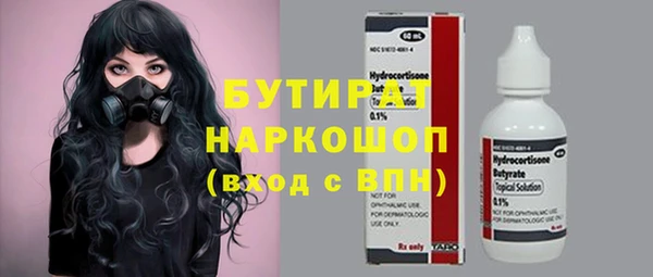 крисы Каменка